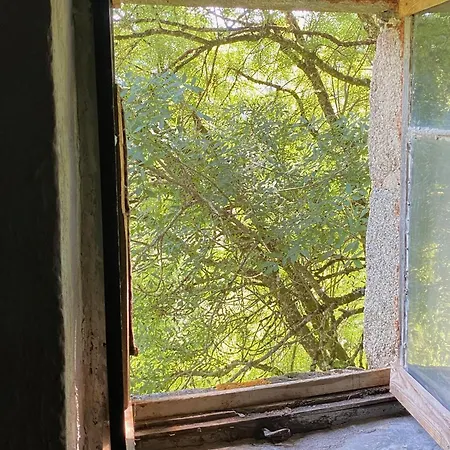 Pensión La Maison Dans La Foret *