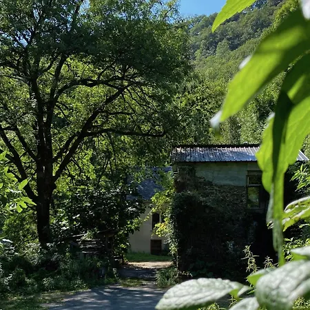 La Maison Dans La Foret Pensión Vabre