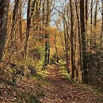La Maison Dans La Foret