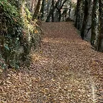 La Maison Dans La Foret Vabre