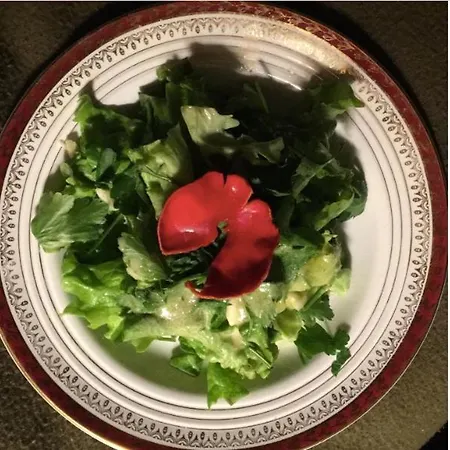 La Maison Dans La Foret