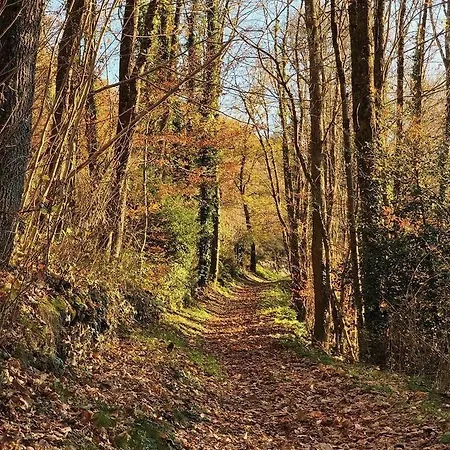 La Maison Dans La Forêt