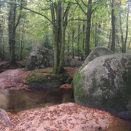 La Maison Dans La Foret Pensionat Vabre