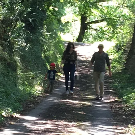 La Maison Dans La Forêt Maison d'hôtes Vabre