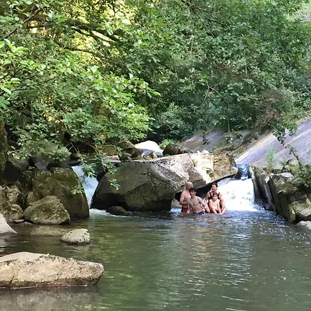 ゲストハウス La Maison Dans La Foret Vabre