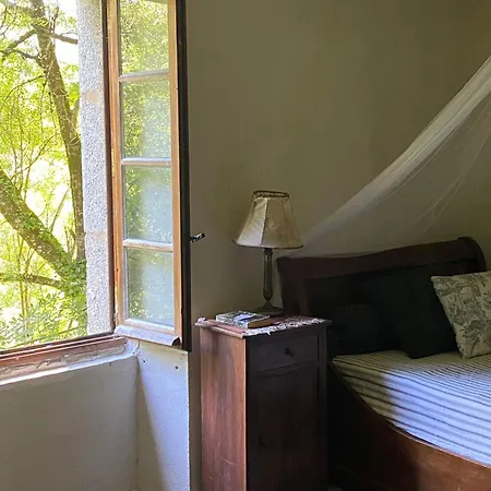 ゲストハウス La Maison Dans La Foret Vabre
