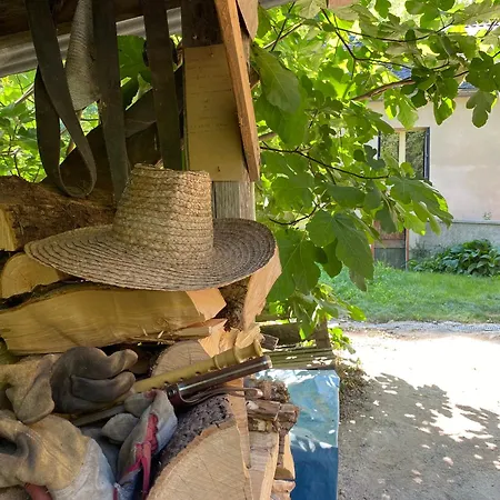 ゲストハウス La Maison Dans La Foret