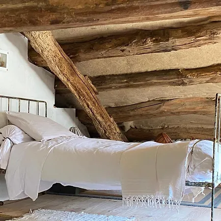 La Maison Dans La Foret * Vabre