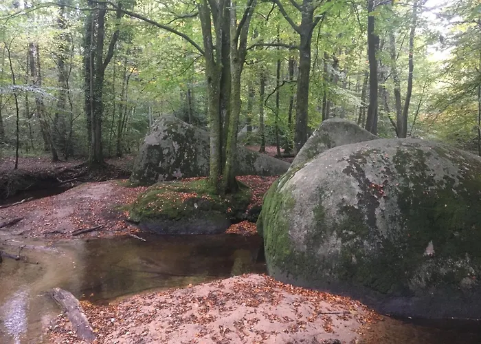 La Maison Dans La Forêt Maison d'hôtes Vabre
